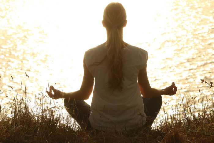 Carers Wellness - Online