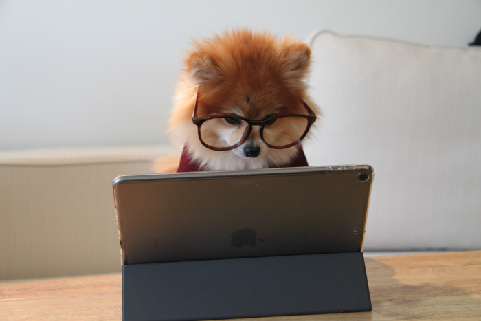 Want to be more computer-confident?