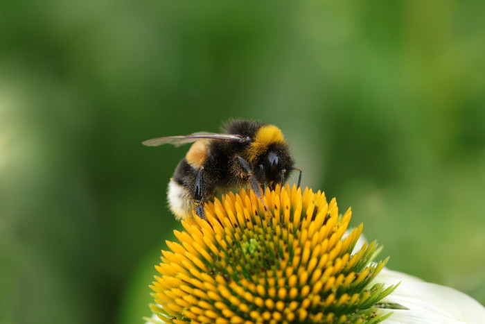 Gardening Group - Online