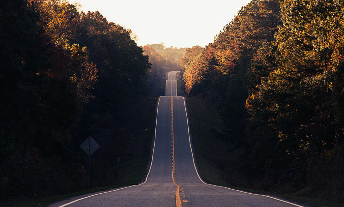 Government Roadmap