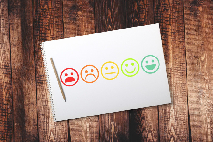 Young Person survey